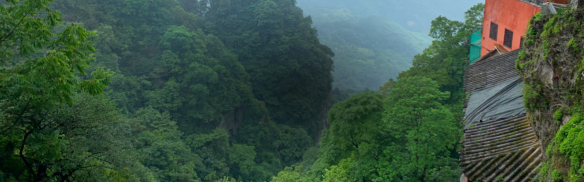 image - 5