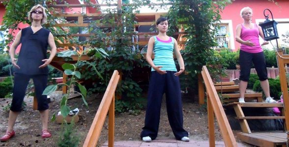 Letní společné cvičení členů i nečlenů Akademie Wudang Taiji Quan v Semonicích (Dity zahrádka)