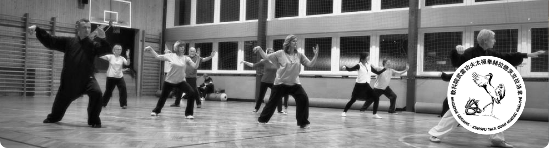 Taiji seminář v Hradci Králové - celý den (qigong element dřevo)