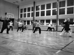 Qigong Fang Song Gong + meditace